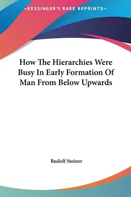 Cum au fost ocupate ierarhiile în formarea timpurie a omului de jos în sus - How The Hierarchies Were Busy In Early Formation Of Man From Below Upwards