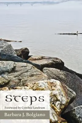Pași - Steps