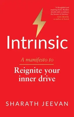 Intrinsic: Un manifest pentru a-ți reaprinde unitatea interioară - Intrinsic: A Manifesto to Reignite Your Inner Drive