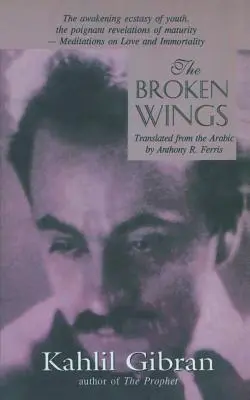 Aripile frânte - The Broken Wings