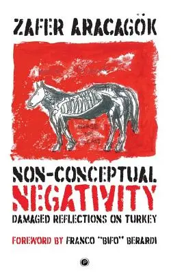Negativitate nonconceptuală: Reflecții deteriorate asupra Turciei - Non-Conceptual Negativity: Damaged Reflections on Turkey