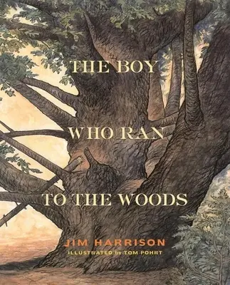 Băiatul care a fugit în pădure (The Boy Who Ran to the Woods) - The Boy Who Ran to the Woods