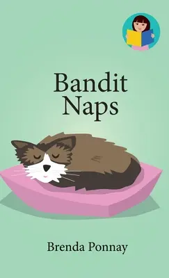 Bandit doarme - Bandit Naps