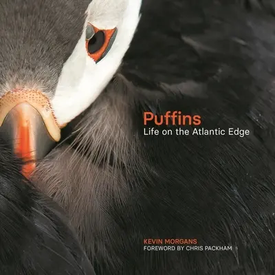 Puffins: Viața pe marginea Atlanticului - Puffins: Life on the Atlantic Edge