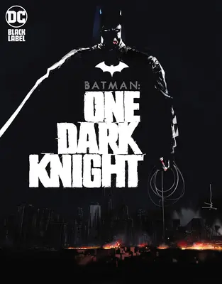 Batman: Un cavaler întunecat - Batman: One Dark Knight