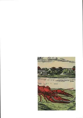 Julian Irlinger: Fragmente ale unei crize - Julian Irlinger: Fragments of a Crisis