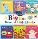 În grădina de noapte: O cutie mare de cărți mici - In the Night Garden: A Big Box of Little Books