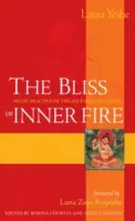 Fericirea focului interior: Practica inimii din cele șase yogas ale lui Naropa - The Bliss of Inner Fire: Heart Practice of the Six Yogas of Naropa
