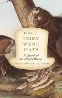 Cândva au fost pălării: În căutarea puternicului castor - Once They Were Hats: In Search of the Mighty Beaver