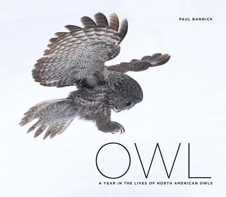 Bufnița: Un an în viața bufnițelor din America de Nord (Owl: A Year in the Lives of North American Owls) - Owl: A Year in the Lives of North American Owls