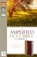 Biblia Amplificată-Am-Compact: Captează întreaga semnificație din spatele originalelor grecești și ebraice - Amplified Bible-Am-Compact: Captures the Full Meaning Behind the Original Greek and Hebrew