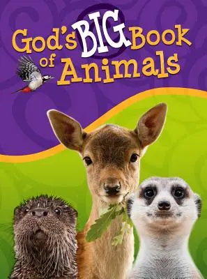 Marea carte a lui Dumnezeu despre animale - God's Big Book of Animals