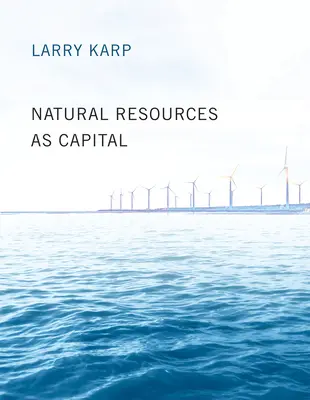 Resursele naturale ca capital - Natural Resources as Capital