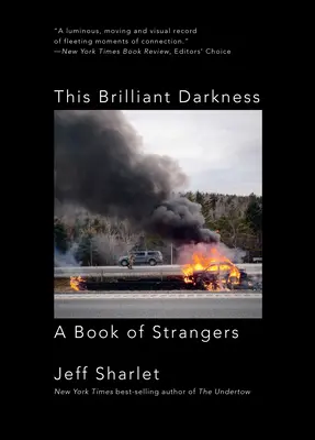 Acest întuneric strălucitor: O carte a străinilor - This Brilliant Darkness: A Book of Strangers