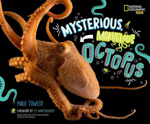 Misteriosul, minunatul caracatiță! - Mysterious, Marvelous Octopus!