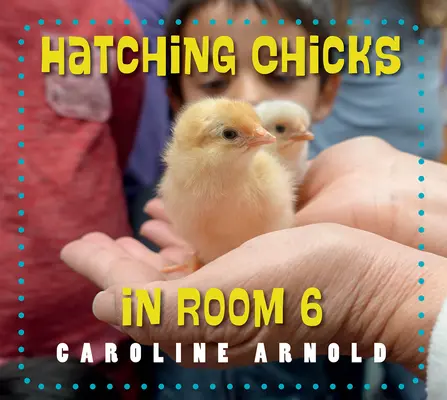Pui care clocesc în camera 6 - Hatching Chicks in Room 6