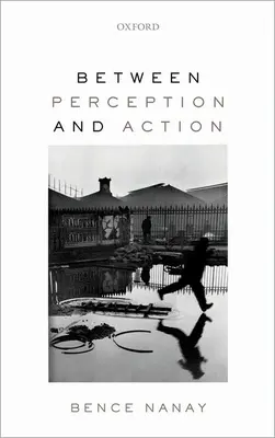 Între percepție și acțiune - Between Perception and Action