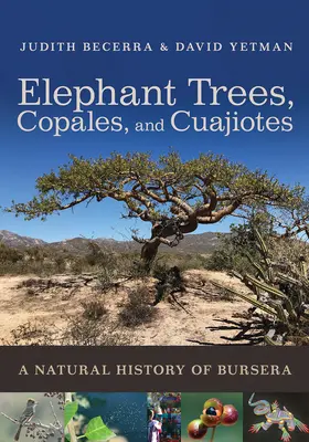 Elephant Trees, Copales, and Cuajiotes: O istorie naturală a Bursera - Elephant Trees, Copales, and Cuajiotes: A Natural History of Bursera