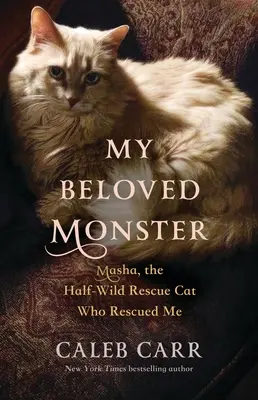 Monstrul meu iubit: Masha, pisica de salvare pe jumătate sălbatică care m-a salvat - My Beloved Monster: Masha, the Half-Wild Rescue Cat Who Rescued Me