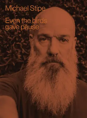 Michael Stipe: Chiar și păsările au făcut o pauză - Michael Stipe: Even the Birds Gave Pause