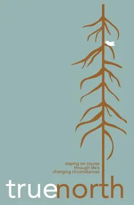 True North: Staying on Course Through Life's Changing Circumstances (Menținerea cursului în circumstanțele schimbătoare ale vieții) - True North: Staying on Course Through Life's Changing Circumstances