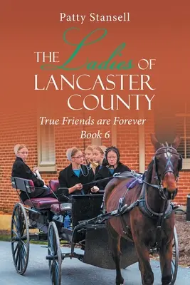 Doamnele din Lancaster County: Prietenii adevărați sunt pentru totdeauna: Book 6 - The Ladies of Lancaster County: True Friends are Forever: Book 6