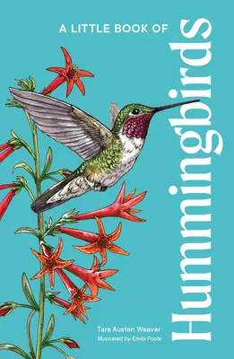 O mică carte a colibriilor - A Little Book of Hummingbirds