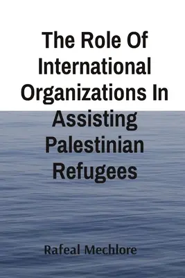 Rolul organizațiilor internaționale în asistarea refugiaților palestinieni - The Role Of International Organizations In Assisting Palestinian Refugees