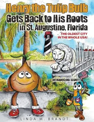 Bulbul de lalele Henry se întoarce la rădăcinile sale în St. Augustine, Florida - Henry the Tulip Bulb Gets Back to His Roots in St. Augustine, Florida