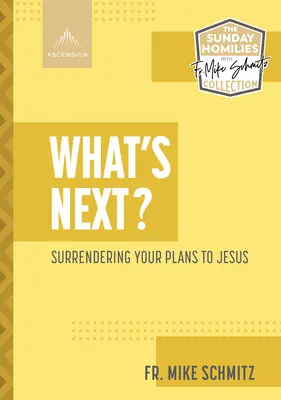 Ce urmează?: Renunțarea la planurile tale în fața lui Isus - What's Next?: Surrendering Your Plans to Jesus