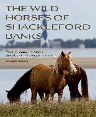 Caii sălbatici din Shackleford Banks - Wild Horses of Shackleford Banks
