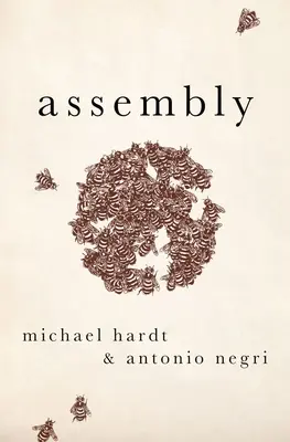 Ansamblu - Assembly