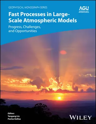 Fast Processes in Large-Scale Atmospheric Models (Procese rapide în modelele atmosferice la scară largă): Progrese, provocări și oportunități - Fast Processes in Large-Scale Atmospheric Models: Progress, Challenges, and Opportunities