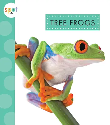 Broaște de copac - Tree Frogs