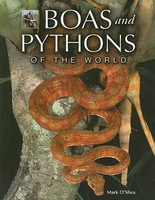 Boas și pitoni ai lumii - Boas and Pythons of the World