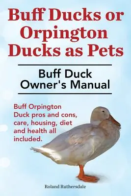 Rațele Buff sau rațele Buff Orpington ca animale de companie. Manualul proprietarului raței Buff. Buff Orpington Duck Pros and Cons, Care, Housing, Diet and Health All Included. - Buff Ducks or Buff Orpington Ducks as Pets. Buff Duck Owner's Manual. Buff Orpington Duck Pros and Cons, Care, Housing, Diet and Health All Included.