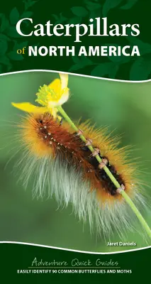 Caterpillars of North America (Omizi din America de Nord): Identificarea cu ușurință a 90 de fluturi și molii comune - Caterpillars of North America: Easily Identify 90 Common Butterflies and Moths