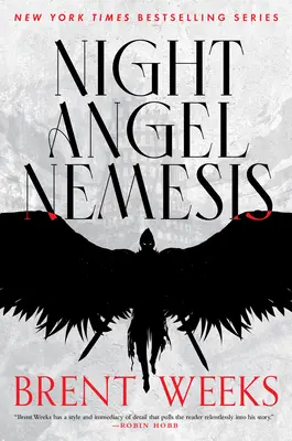 Îngerul nopții Nemesis - Night Angel Nemesis