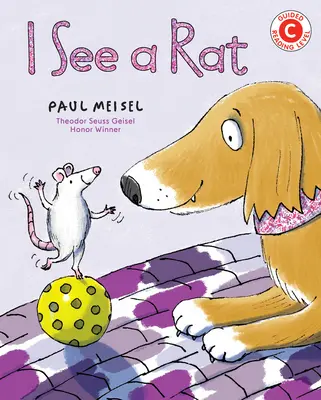 Văd un șobolan - I See a Rat