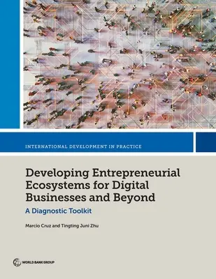 Dezvoltarea ecosistemelor antreprenoriale pentru întreprinderile digitale și nu numai - Developing Entrepreneurial Ecosystems for Digital Businesses and Beyond