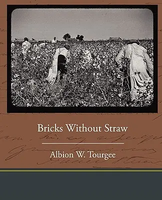Cărămizi fără paie - Bricks Without Straw