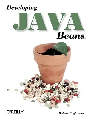Dezvoltarea Java Beans - Developing Java Beans