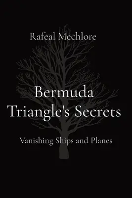 Secretele Triunghiului Bermudelor: Dispariția navelor și avioanelor - Bermuda Triangle's Secrets: Vanishing Ships and Planes