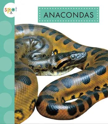 Anaconda - Anacondas