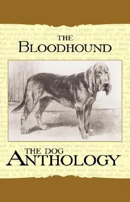 The Bloodhound - O antologie canină - The Bloodhound - A Dog Anthology
