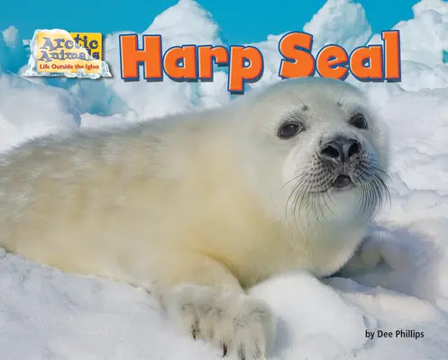 Foca Harp - Harp Seal