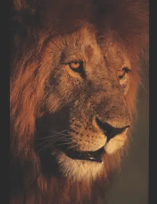 Versiunea regelui Isus: Revelații esențiale - King Jesus Version: Essential Revelations