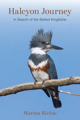 Călătoria Halcyon: În căutarea regelui pescar cu centură - Halcyon Journey: In Search of the Belted Kingfisher