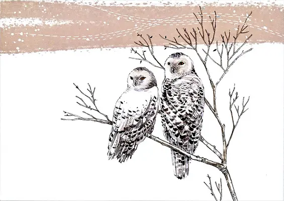 Bufnițe de zăpadă Deluxe Boxed Holiday Cards - Snowy Owls Deluxe Boxed Holiday Cards