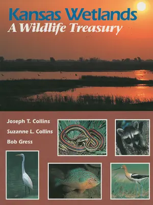 Kansas Wetlands: Un tezaur al vieții sălbatice - Kansas Wetlands: A Wildlife Treasury